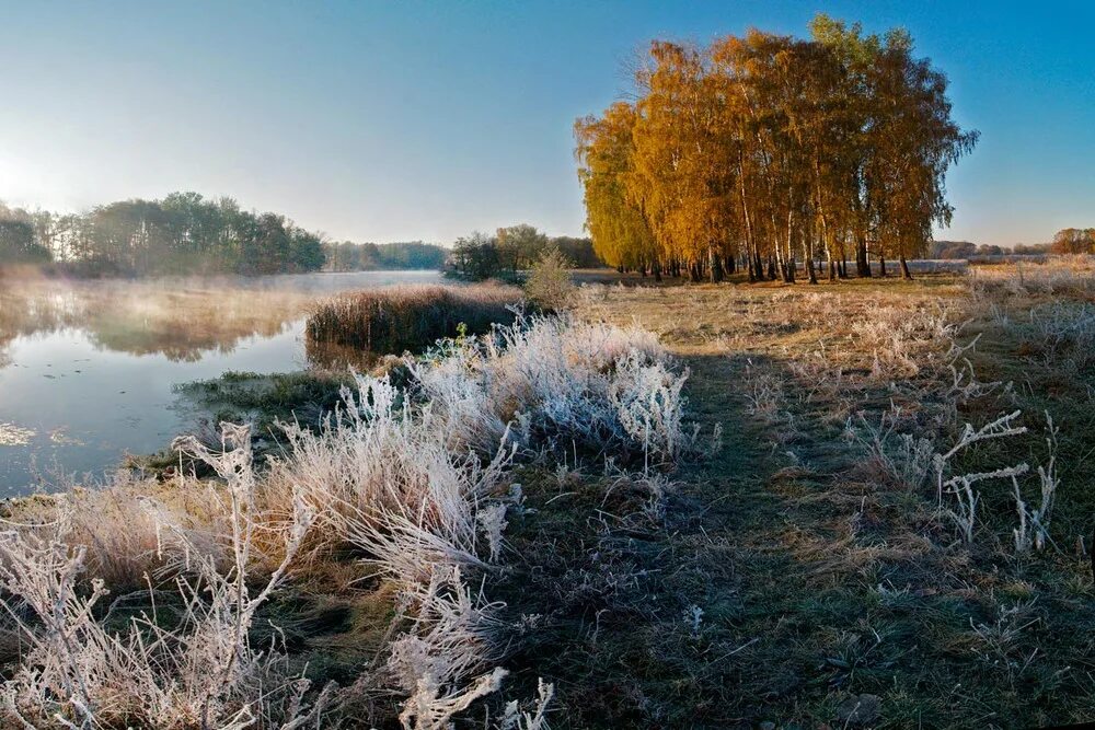 Первый Мороз. Заморозки природа. Первые заморозки в природе. Октябрь. Природа. Заморозки.