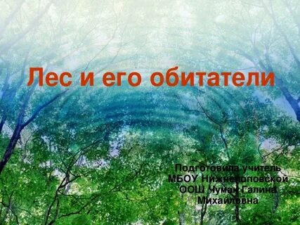 Лес и его обитатели 2 класс