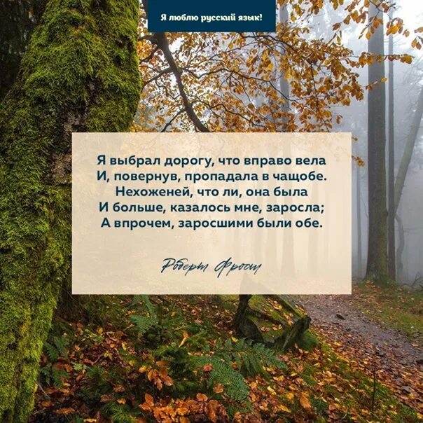 3 дороги стихотворение. Другая дорога стих. В осеннем лесу на Развилке дорог стихотворение. Развилка дорог стихи. Фрост другая дорога стих.