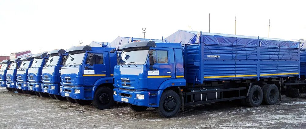 Камаз доватора. Камаз 61117. камаз 65656. камаз 6590. камаз 5908.