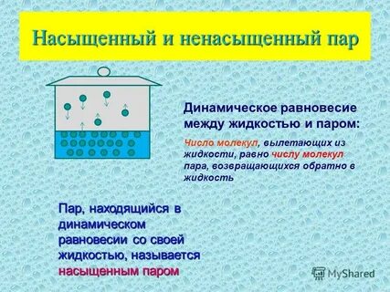 Что такое динамическое равновесие в физике