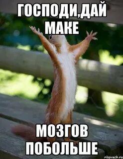 Ума не дам