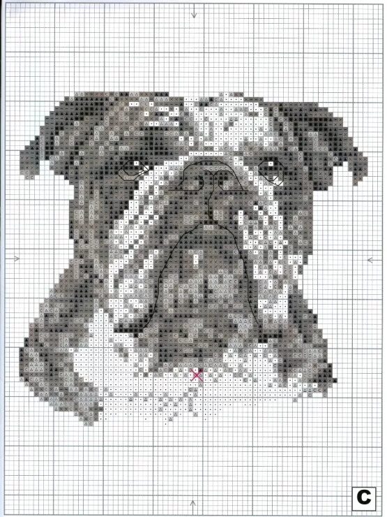 Вышивка крестом французский бульдог. Бульдог схема. Вышивка мордочка собаки. Вышивка бульдог. Вышивка крестиком французский бульдог.