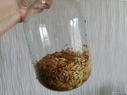 Настой овса помогает