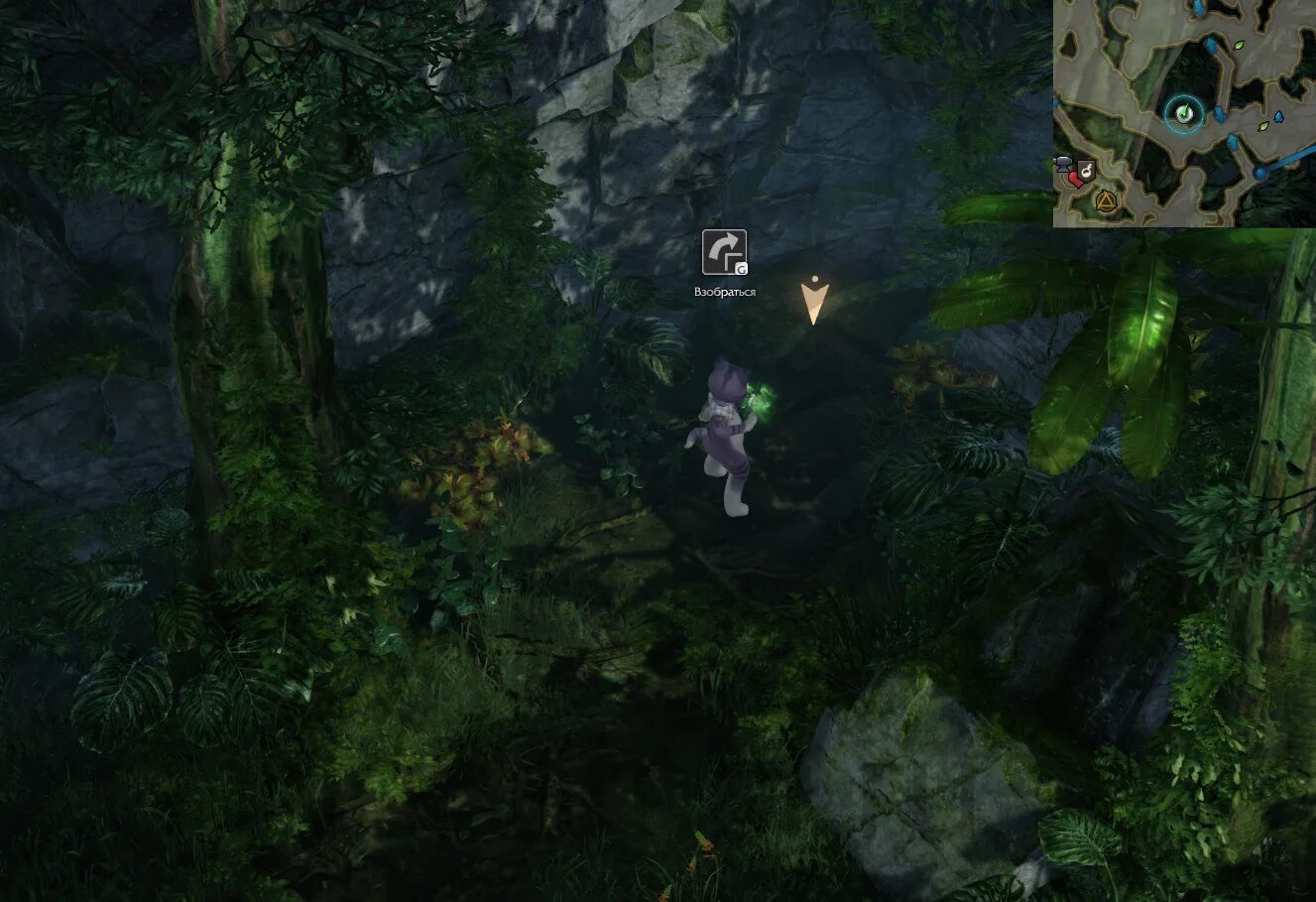 Охотница на демонов лост арк скилы. Ларец лост арк. Сундук лост арк. Ларец лост арк. Именной походный сундук.