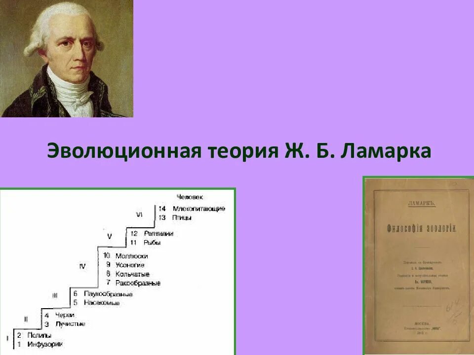 Суть теории ламарка. Эволюционное учение ж б Ламарка. Теория эволюции Ламарка. Ж Б Ламарк теория эволюции.