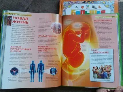 Кругозор на английском