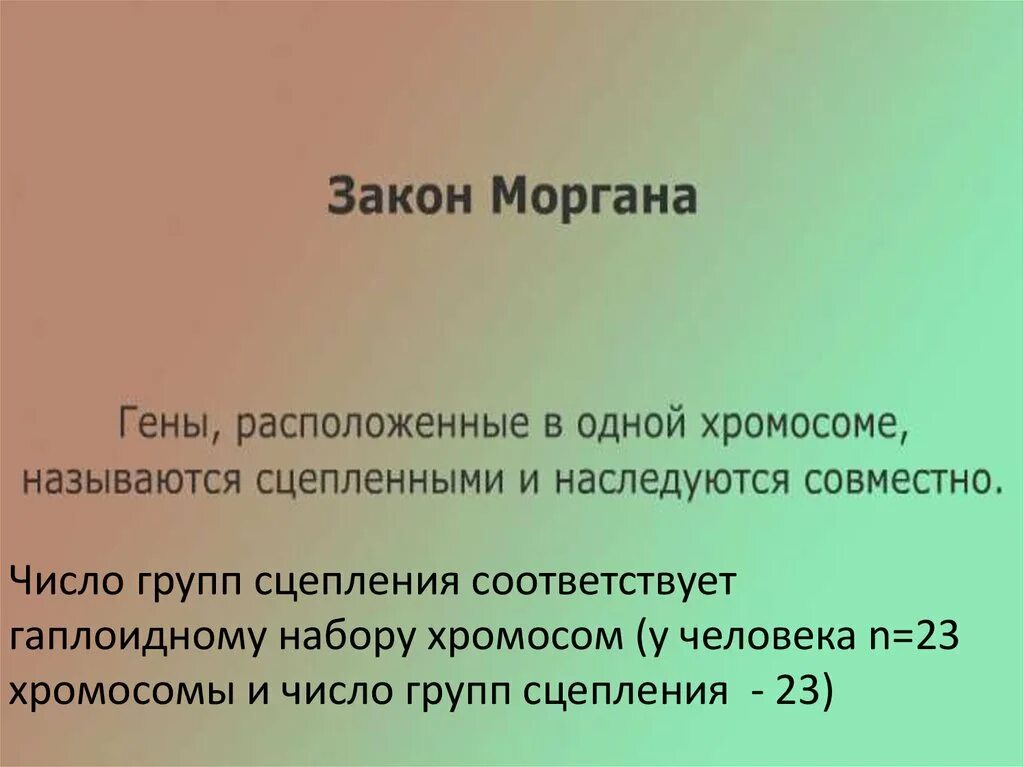 Генетик закон. Законы генетики. закономерности генетики. генетические законы таблица. основные законы генетики.