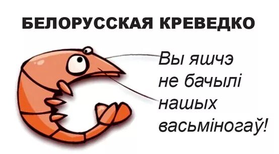 Креведко. Креведко Мем. Креветка Мем. Белорусские креветки мемы. Я креветка Мем.
