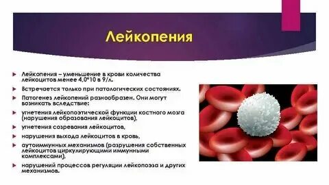 Снижены лейкоциты что это