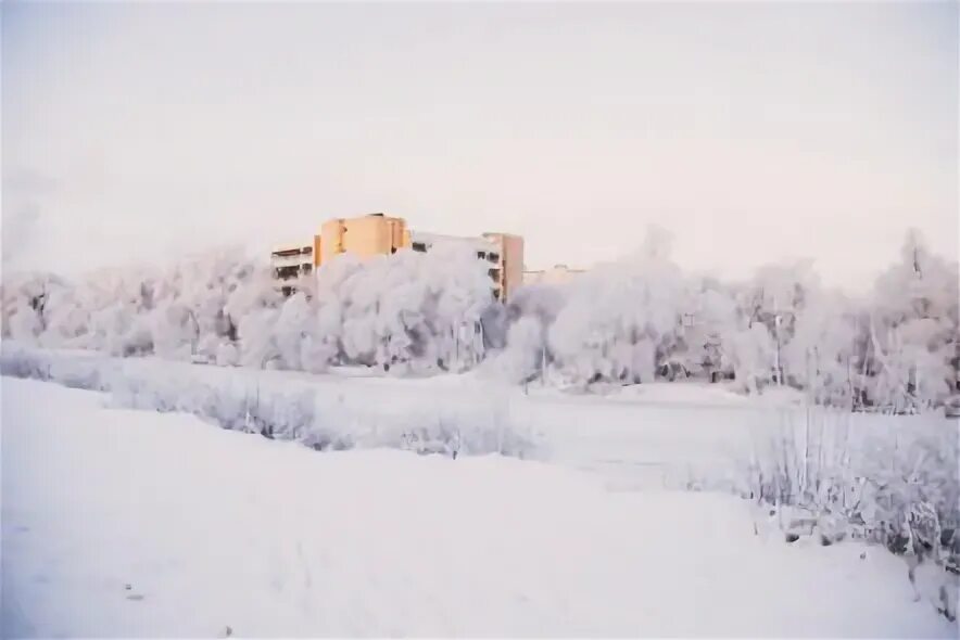 Орехово зуево погода на неделю 14. Пейзажи Орехово Зуево. Зима в Орехово-Зуево фото. Орехово-Зуево Московская область фото города 2022. Фото природы Орехово Зуево.