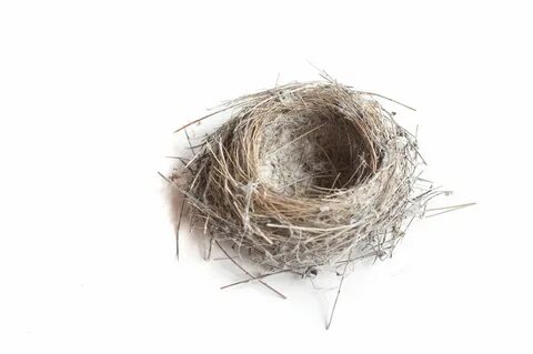 Empty nest