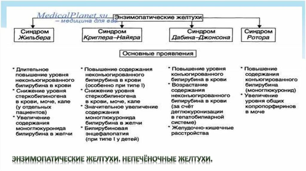 Соотношения билирубина при синдроме Жильбера. Синдром Жильбера и Криглера Найяра дифференциальная диагностика. Синдром Жильбера Криглера Найяра Дабина-Джонсона. Желтуха при синдроме Жильбера. Генотипы жильбера