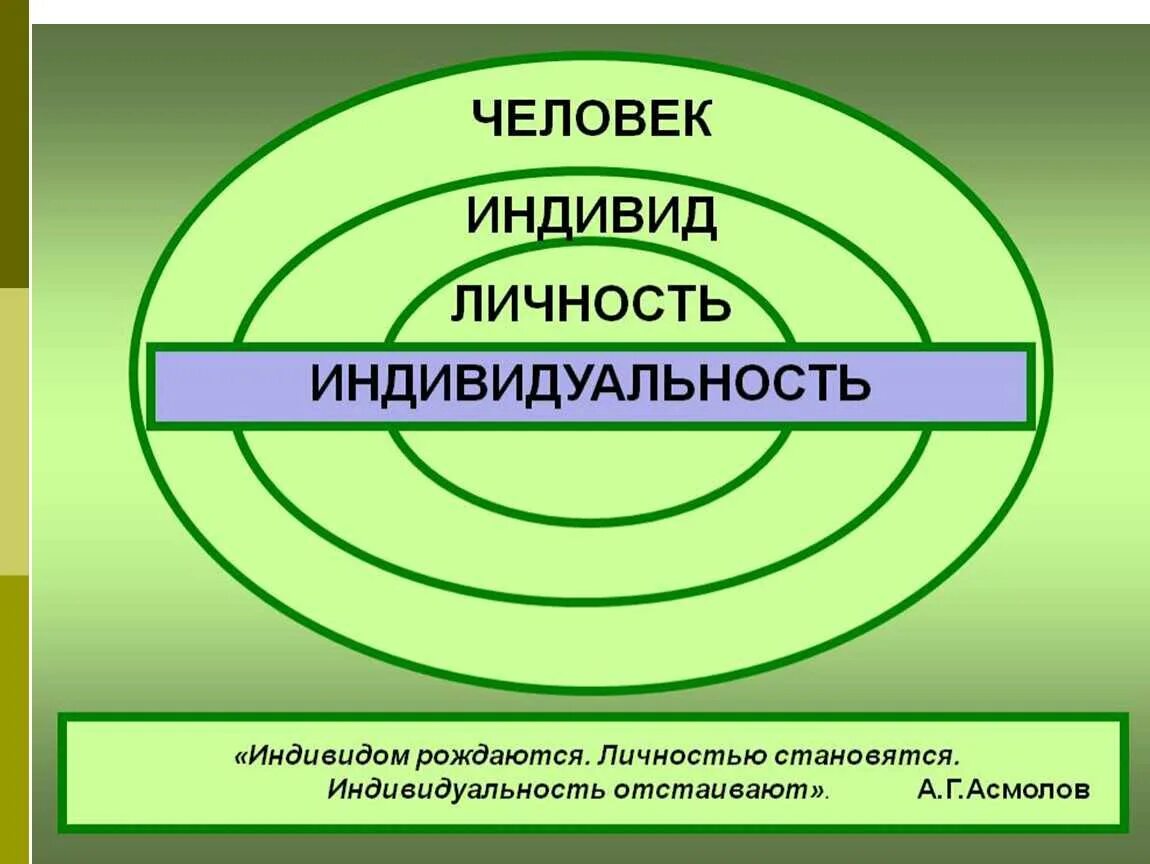 Информацию о содержании индивидуальности человека