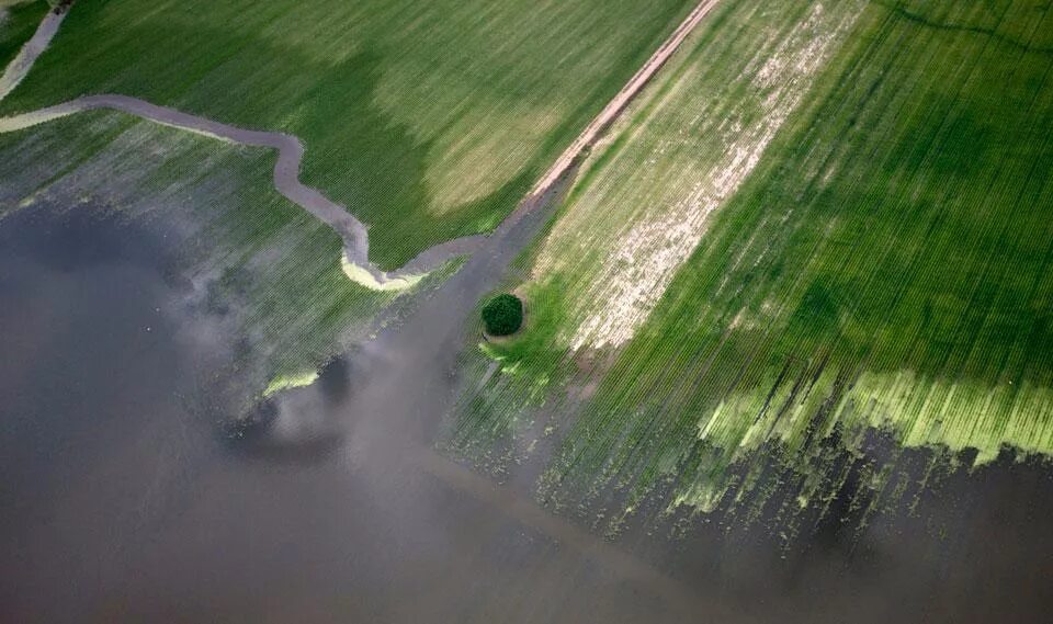 Полив водой из реки. Миссисипи сельское хозяйство. Разлив Миссисипи. Затопление сельскохозяйственных угодий. Затопленные рисовые поля.