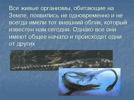 Где обитают живые