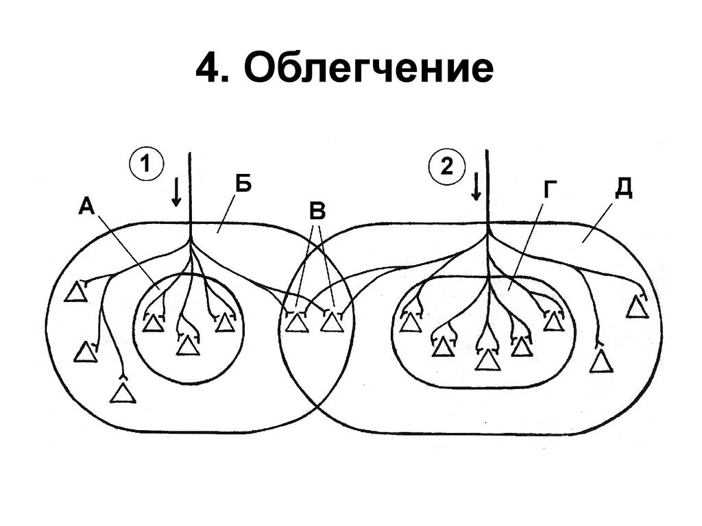 Окклюзия схема физиология. Облегчение проведения. Явление окклюзии физиология. Окклюзия и облегчение физиология. Центральная окклюзия физиология.