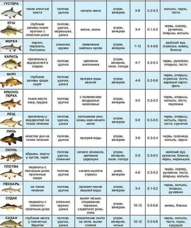 Таблица клева рыбы. Таблица ловли рыбы. Таблица клева щуки. Таблица клева рыбы летом. Какая рыба лучше ловится