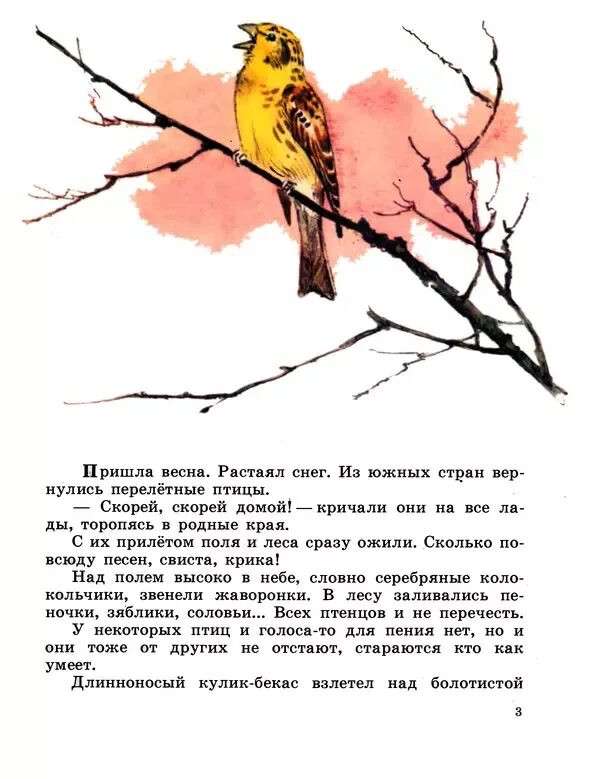 План сказки весенняя песня скребицкий. План сказки весенняя песня скребицкий. Скребицкий весенняя песенка. План сказки весенняя песня скребицкий. Рассказ про птицу 4 класс г.