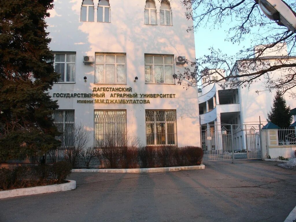 Сельскохозяйственный университет махачкала. Дагестанский государственный аграрный университет. Даггау имени м. Аграрный университет махачкала имени джамбулатова. Дагестанский аграрный университет им джамбулатова.