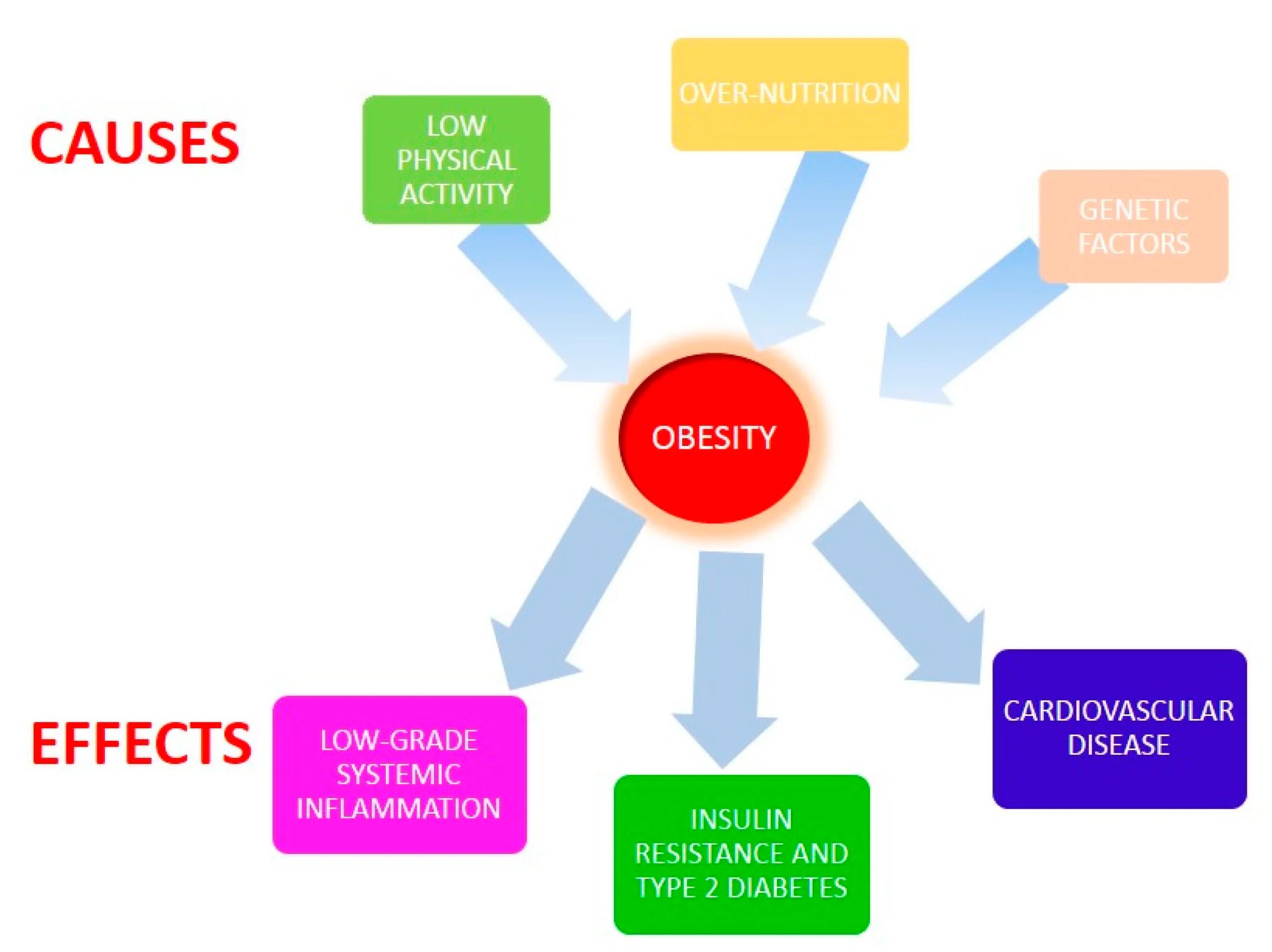 What does it cause. Cause and effect. causes of obesity. obesity causes effects. obesity physical activity.