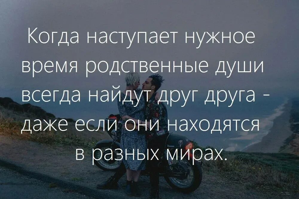 Родственные души цитаты. Родная душа фразы. Афоризмы про родственные души. Цитаты о родственных душах. Про родственные души