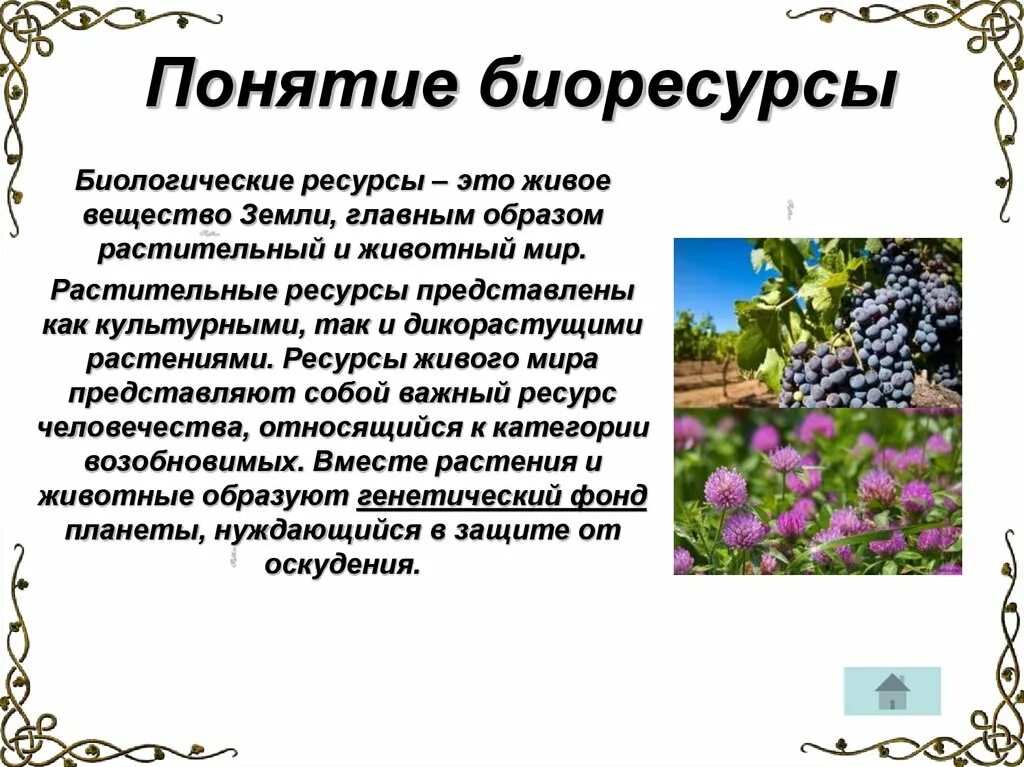 Понятие биологические ресурсы