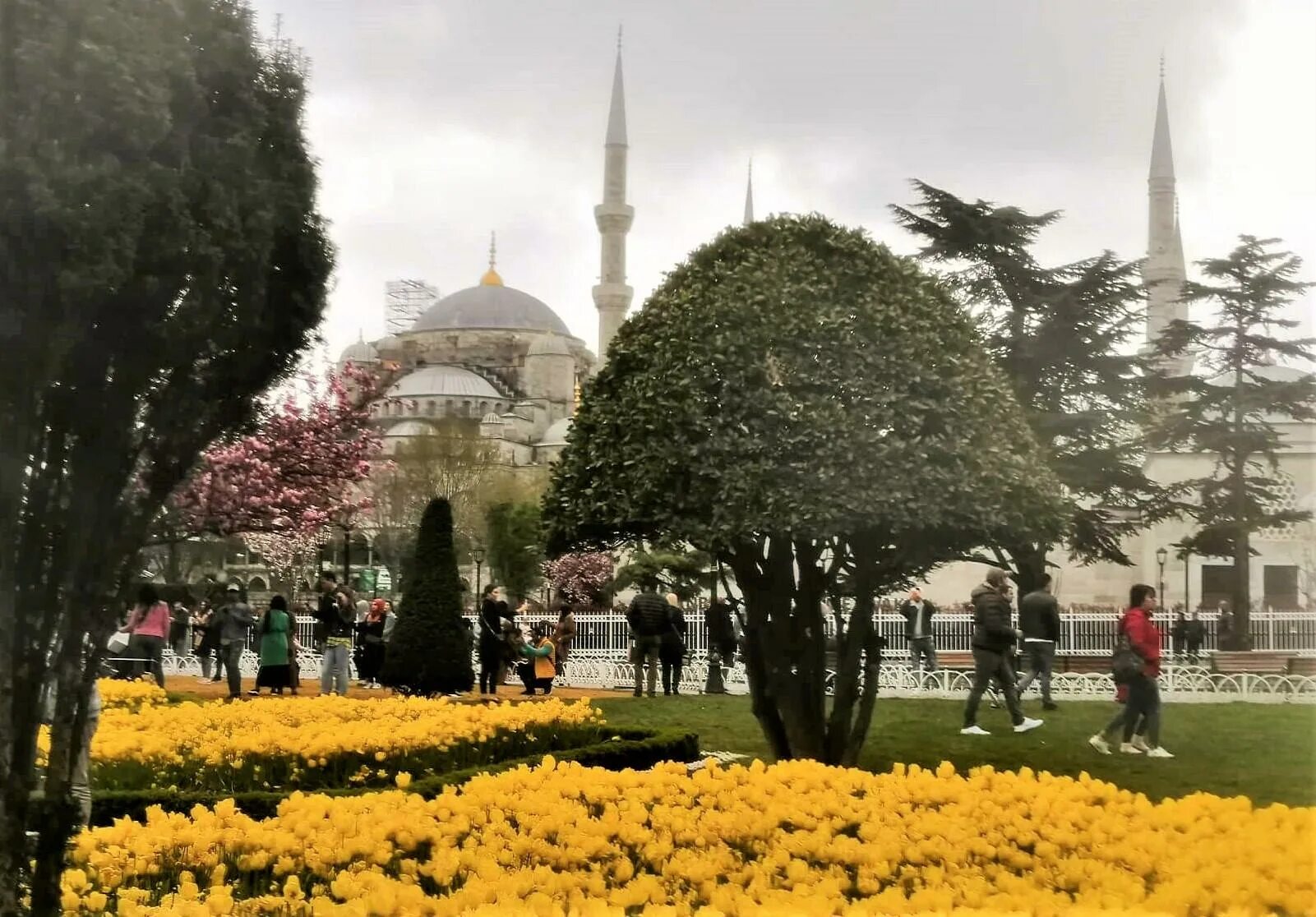 Праздники в стамбуле 2024. Парк Эмирган в Стамбуле фестиваль тюльпанов. Стамбул фестиваль тюльпанов Султанахмет. Фестиваль тюльпанов в Стамбуле 2023. Фестиваль тюльпанов в Стамбуле 2024.