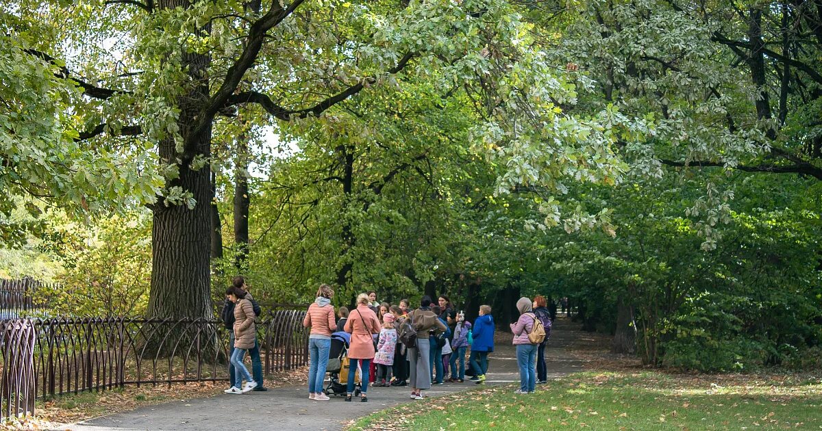 Зеленые исполины усадьбы воронцово. Дубы в парке воронцово в Москве. Дуб в Воронцовском парке. Дубы в Воронцовском парке 250 лет. Черемушки экскурсии