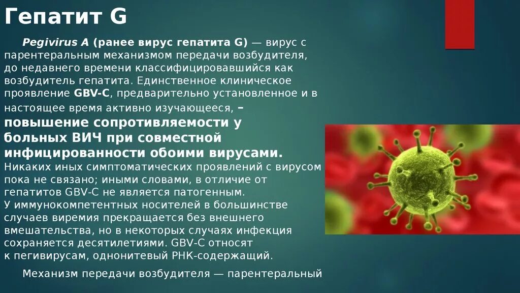 Гепатит в мире. Вирус гепатита в. Вирус гепатита g. Возбудитель гепатита а. Гепатит g профилактика.