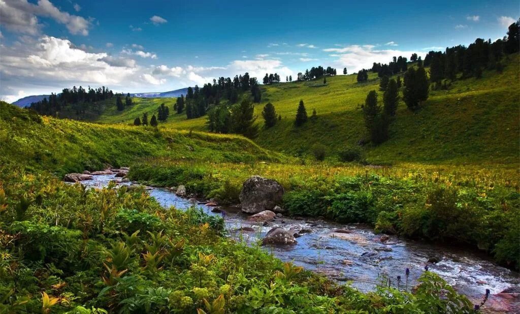 Алтайский край. Природа Алтая. Пейзажи Алтая. Пейзажи Алтайского края.