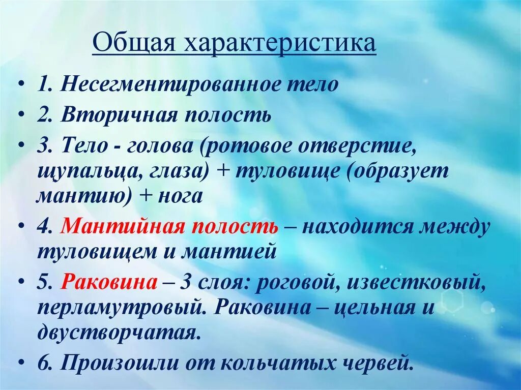 Несегментированное тело. Несегментированное тело у кого. Что значит несегментированное тело. Сегментированное и несегментированное тело это. Мягкое несегментированное тело