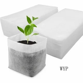 Grow b
