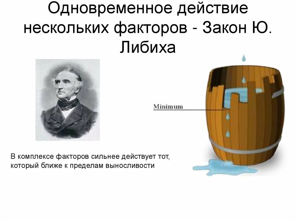 Закон минимума либиха примеры Что такое закон минимума: найдено 79 изображений