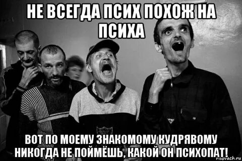 Кругом одни психопаты