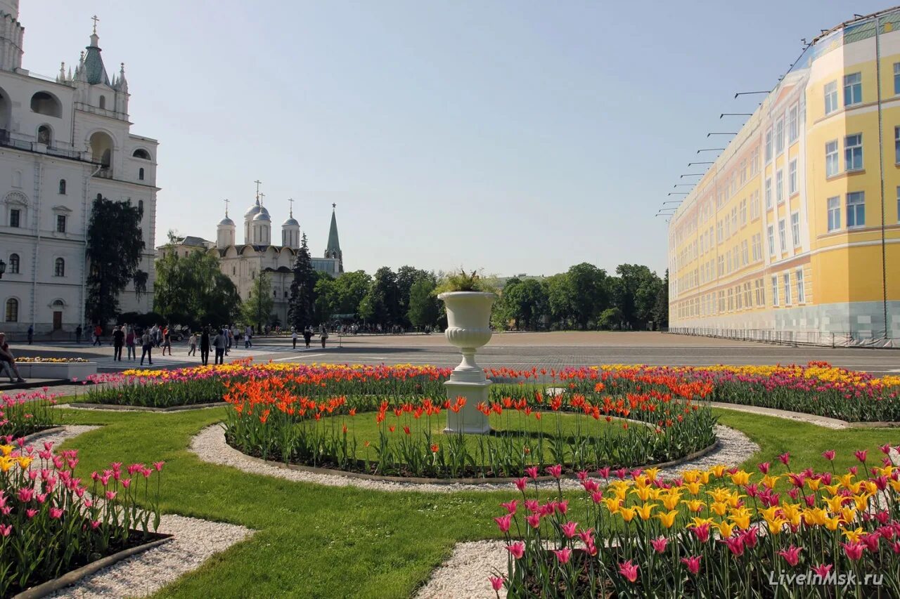 Московский кремль москва ивановская площадь фото. Ивановская площадь в Москве. Ивановская площадь Кремля в Москве. Ивановская площадь площадь в Кремле Московский Кремль. Ивановская Соборная площадь.