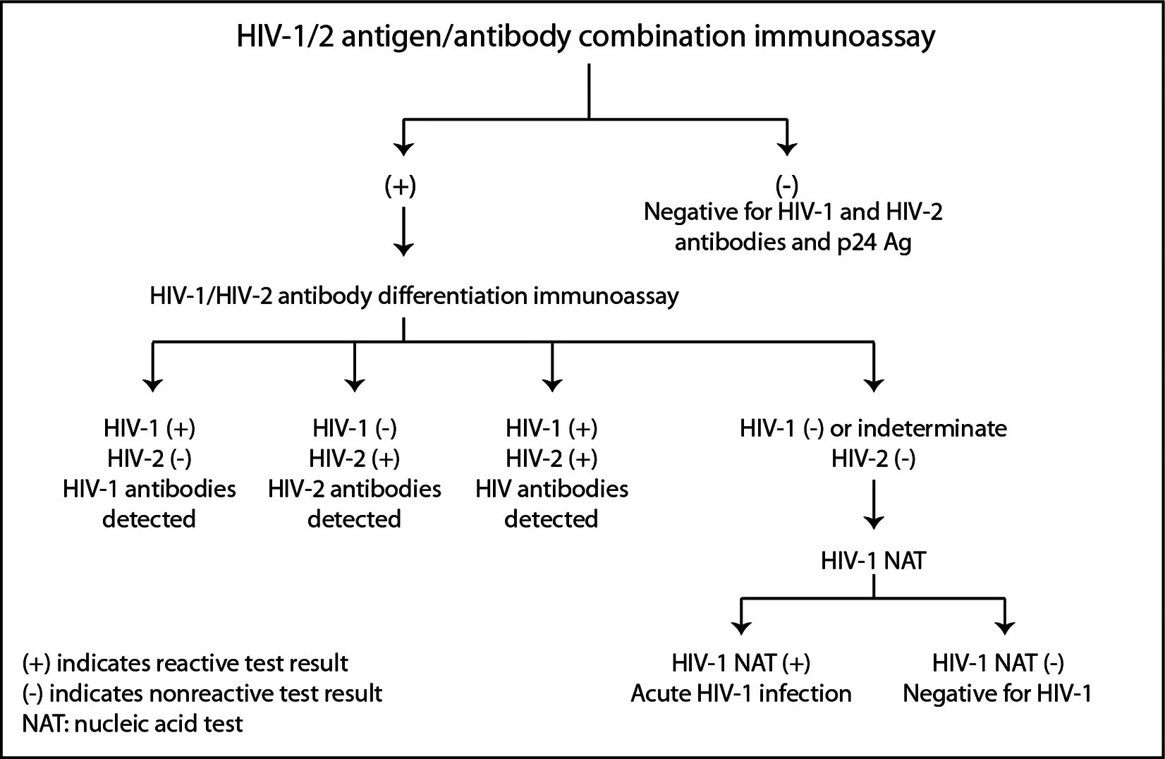 Hiv1 hiv2. HIV 1+2 (AG/at) расшифровка. Антиген HIV что это. Anti-HIV 1,2/AG p24 Результаты. Human immunodeficiency virus 1