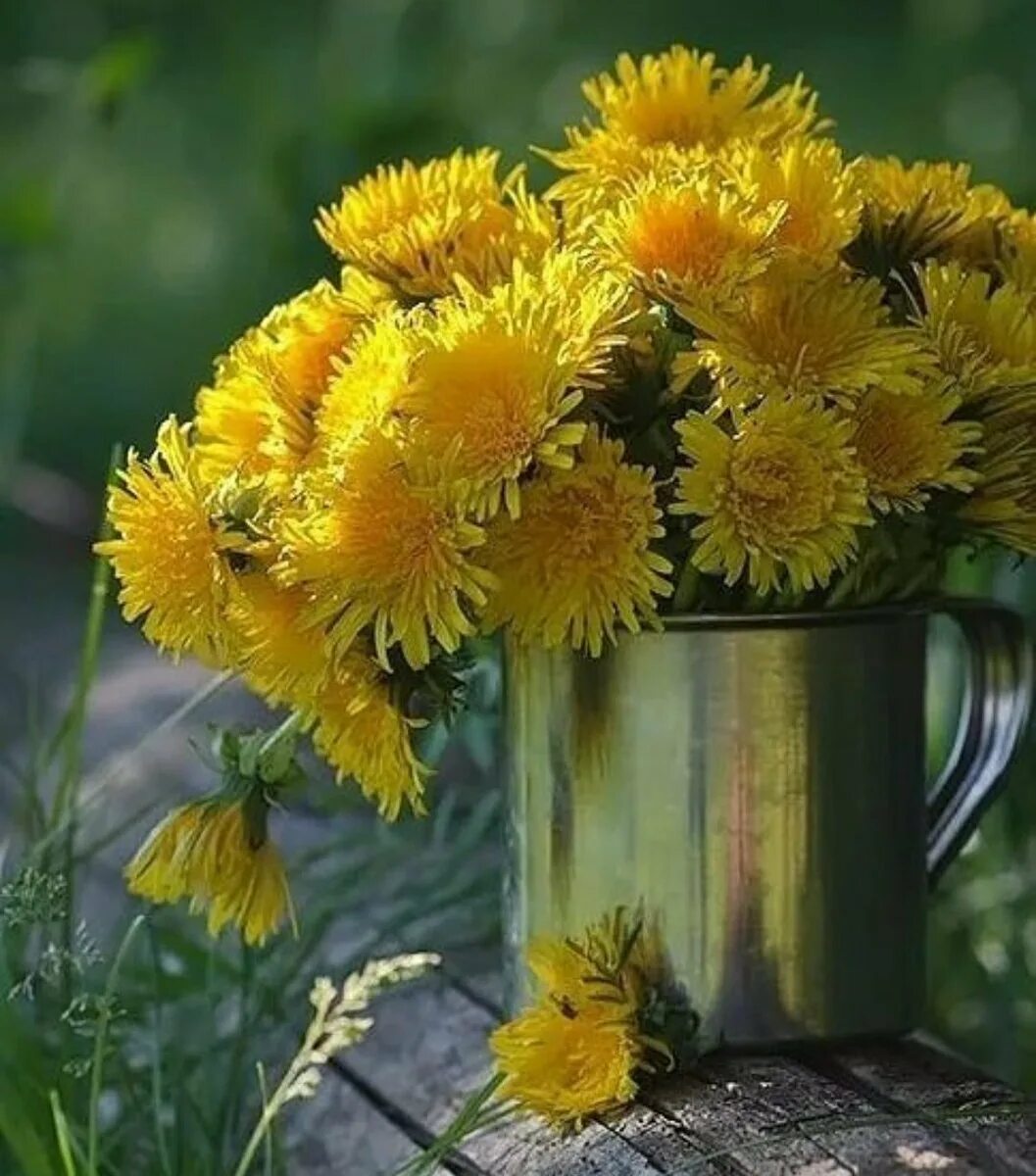 Солнечный цветок. Доброго солнечного летнего утра. Доброго солнечного летнего утра. Доброго солнечного летнего утра. Яркий солнечный день.