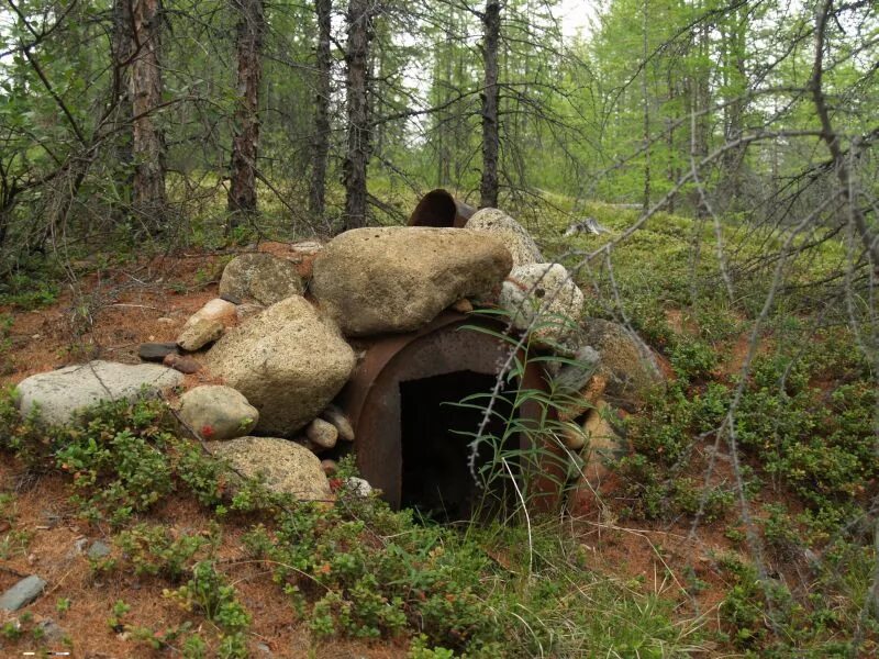 глиняная печь в лесу. печь в шалаше. углежогные печи в лесу. охотничья землянка в лесу. печь в лесу.