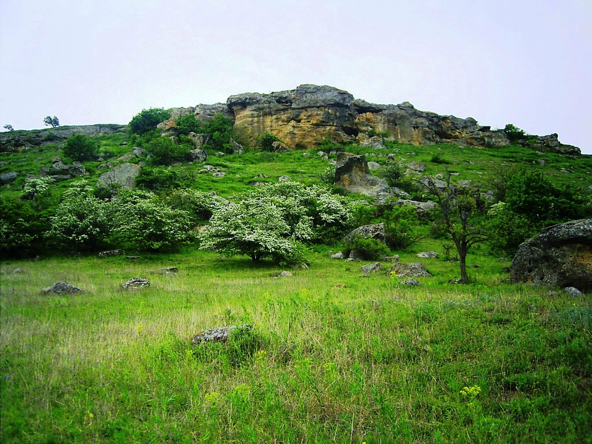 Гора Лягушинка село Александровское. Гора Куцай Светлоград. Александровское (Ставропольский край). Александровский заказник Ставропольский край. Никольское ставропольский край