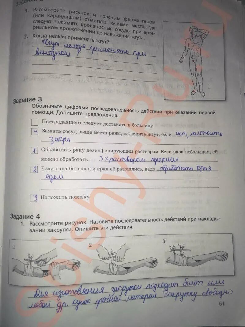 Биология 8 класс драгомилов рабочая тетрадь 1. Драгомилов маш биология 8 класс учебник. Рабочая тетрадь по биологии 8 класс драгомилов. Гдз по биологии 8 класс рабочая тетрадь драгомилов 1 часть. Биология 8 класс рабочая тетрадь маш 1 часть 2022.