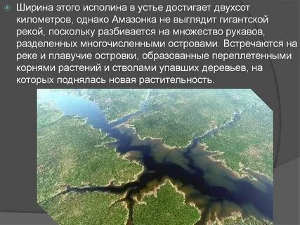 Вид устья реки амазонка