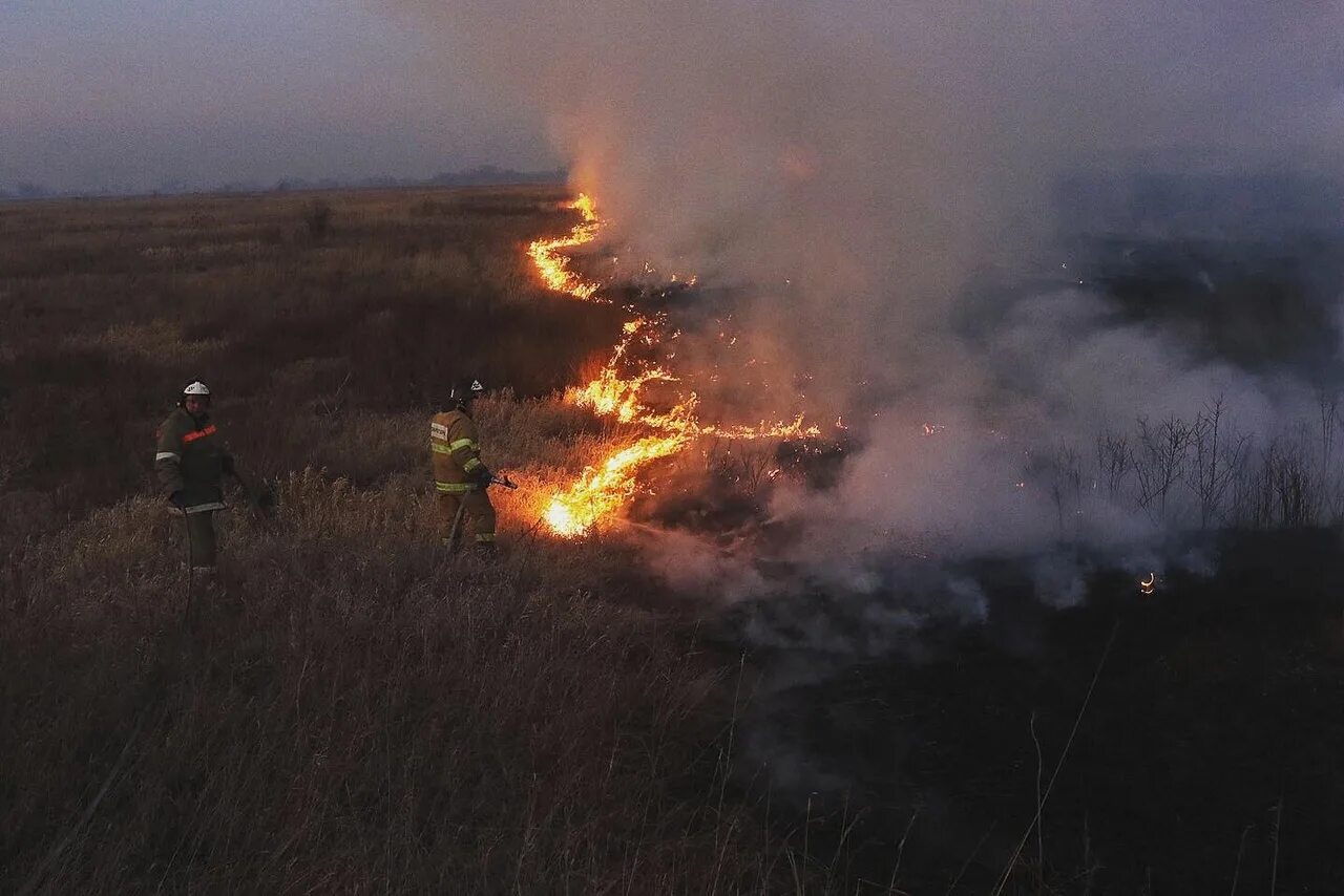 Пал сухой травы МЧС. Травяной пожар. Ландшафтный пожар. Пожары палы.