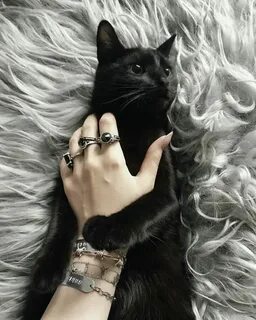 Животные для готов