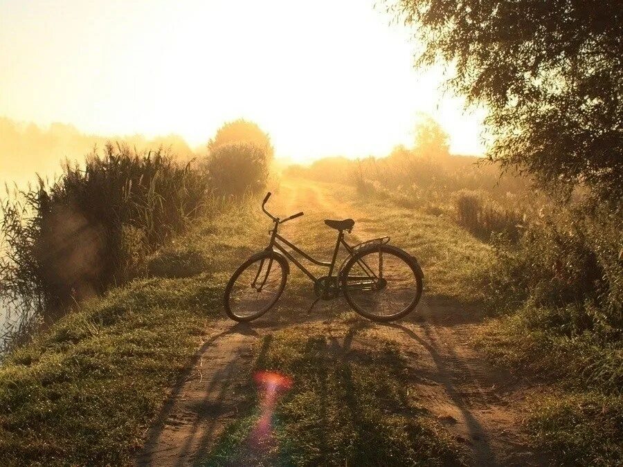 Машина под солнцем. Автомобиль солнце. Шутки про солнышко. Rolls royce wraith sun. Автомобиль солнце.