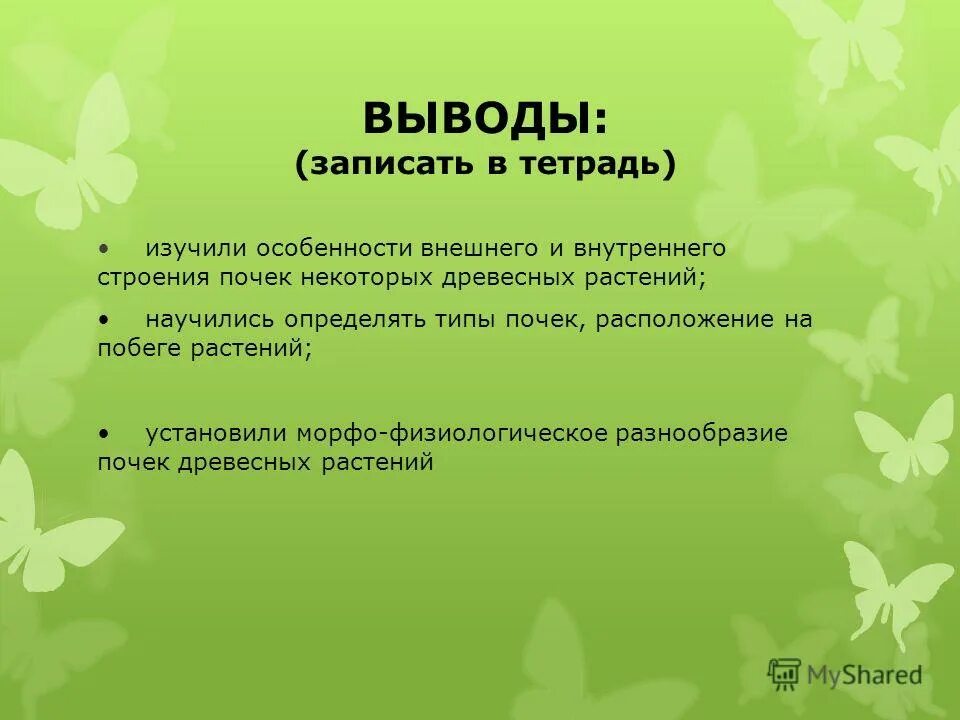 Лабораторная работа строение почек на стебле. Лабораторная работа строение почек на стебле