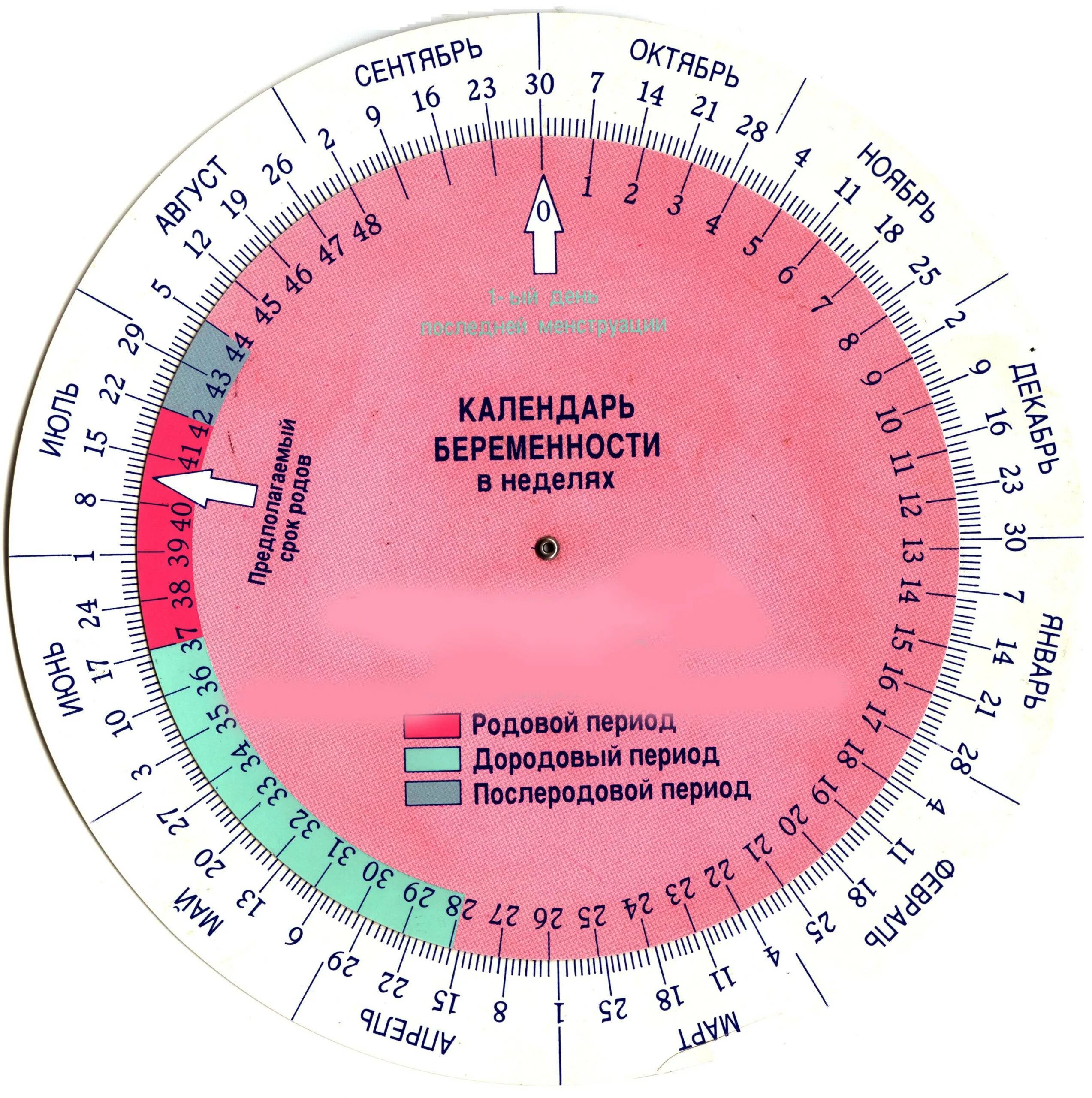 Рассчитать дату родов по последним месячным по неделям. Беременный календарь. Алендарь береименности. Калькулятор беременности по неделям.