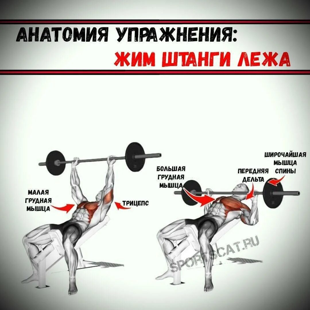 Жим штанги лежа техника мышцы. Правильное выполнение жима лежа штанги. Правильность выполнения жима лежа со штангой. Жим лежа схема выполнения. Жим лежа правильная техника