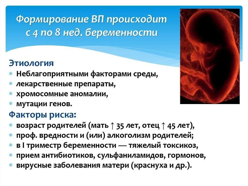 Чем опасен 1 триместр. Первый и второй триместр беременности. Угроза развития плода при беременности. Второй триместр факторы риска. Самые главные недели беременности.