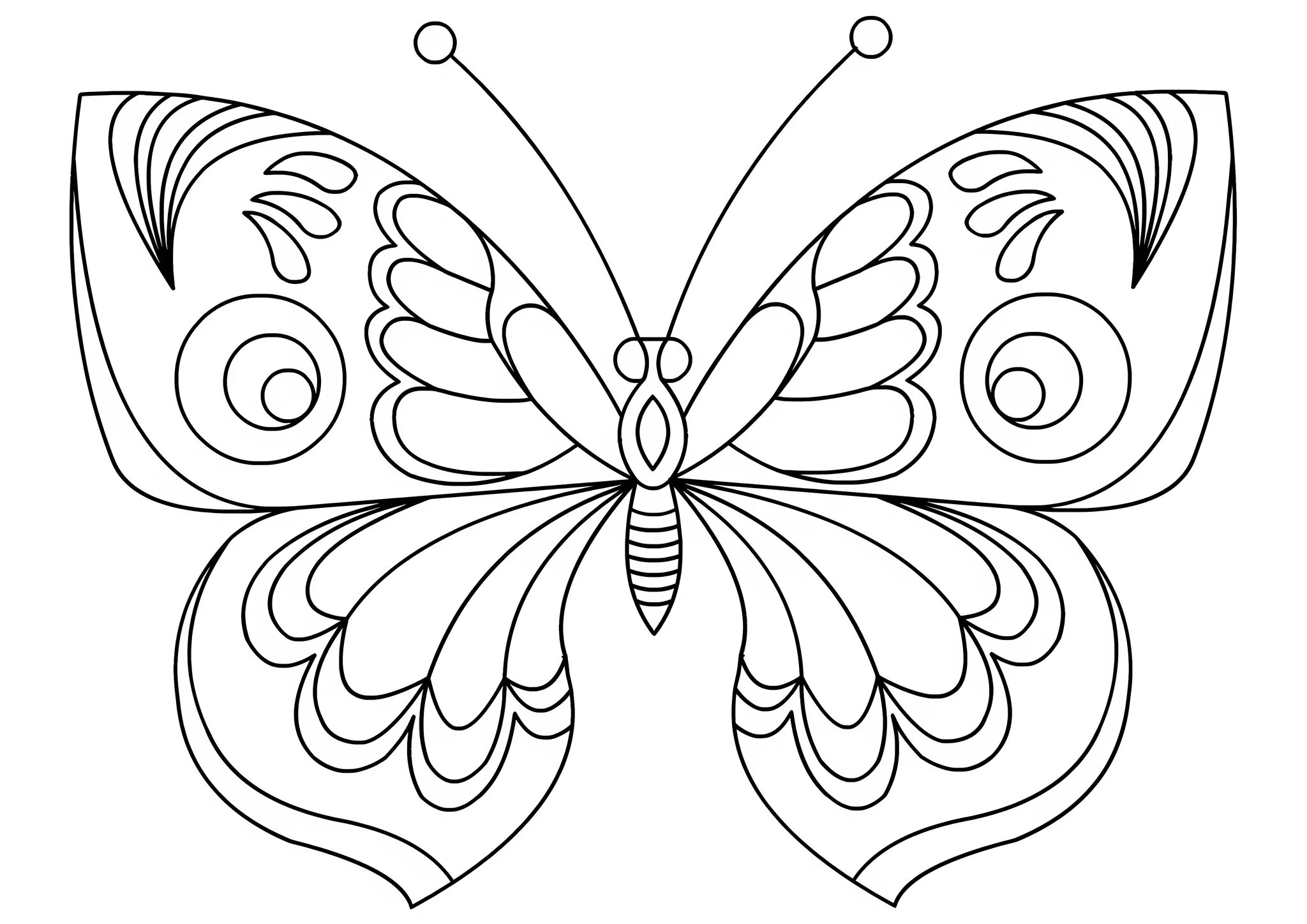 Раскраска "бабочки". Бабочка раскраска для детей. Раскраска для девочек бабочки. Раскраски бабочки красивые. Бабочки раскраски для детей 5 6 лет